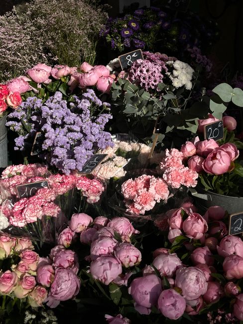 A vibrant display of fresh flowers featuring light pink peonies with lush petals, purple and white blossoms including statice and chrysanthemums, and smaller roses in soft pinks. The arrangement is se