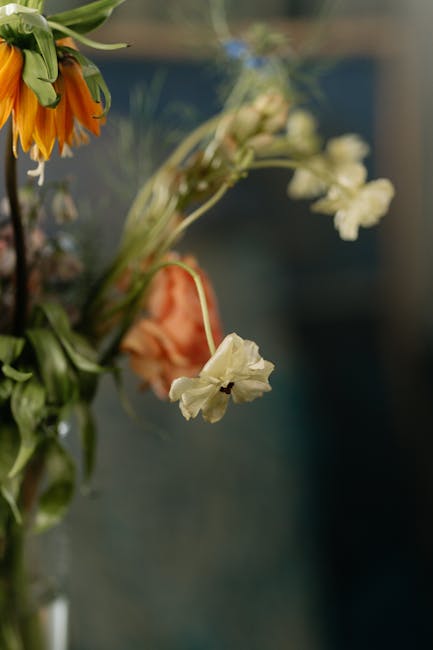 A close-up of a partially wilted bouquet featuring various flowers in a glass vase. Among the blooms, a declining white flower with drooping petals contrasts with a faded orange rose and a wilting sun