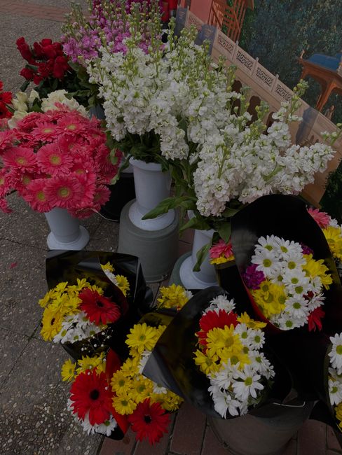 A display of fresh floral arrangements featuring a variety of colorful flowers, including pink daisies, white stock, yellow and red gerbera daisies, and white chrysanthemums, arranged in white ceramic