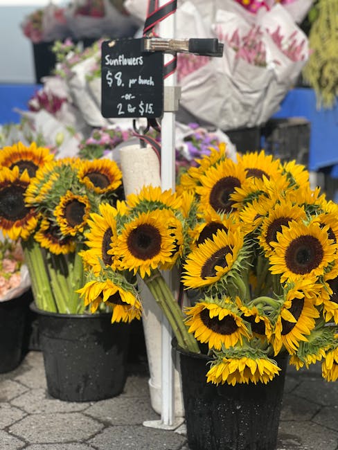 A display of fresh sunflower bouquets arranged in black plastic pots at a flower market. The bright yellow sunflowers feature large dark brown centers, with sturdy green stems and leaves visible. Behi